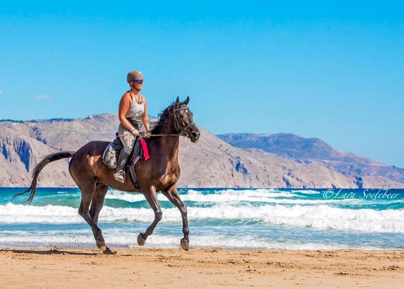 Rethymno Mare & Water Park Hotell Skaleta Exteriör bild